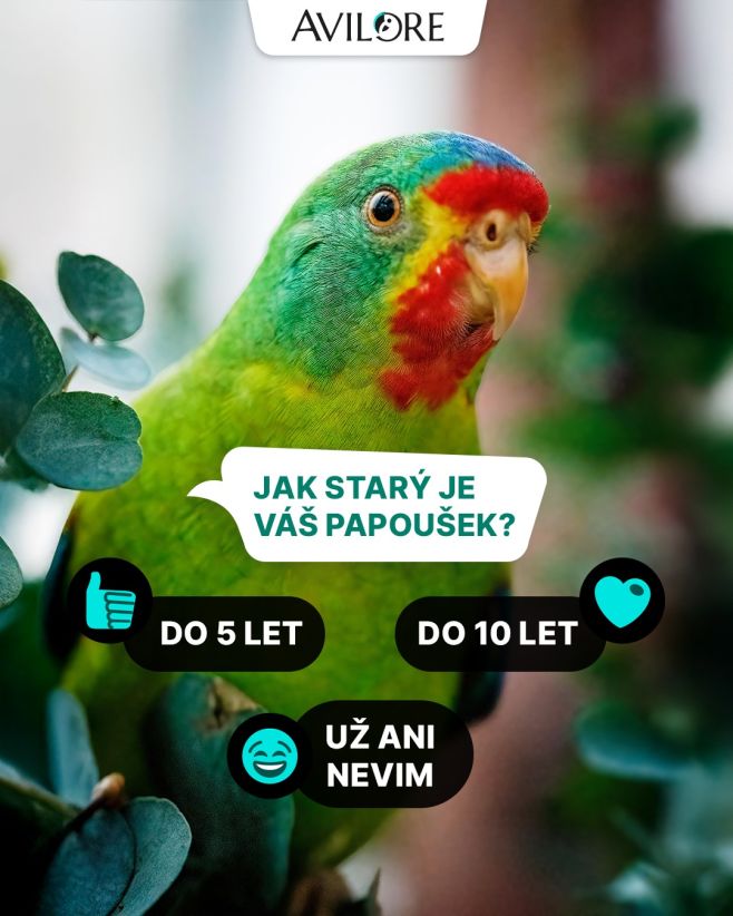 Jak staří jsou vaši opeřenci? 🦜👉 Říkali jsme si, že bychom na facebooku nasdíleli třeba nejstaršího papouška v naší...